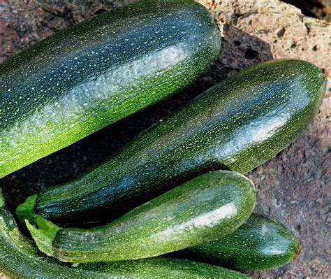 slow-roasted-courgettes-with-fennel-cool-food image