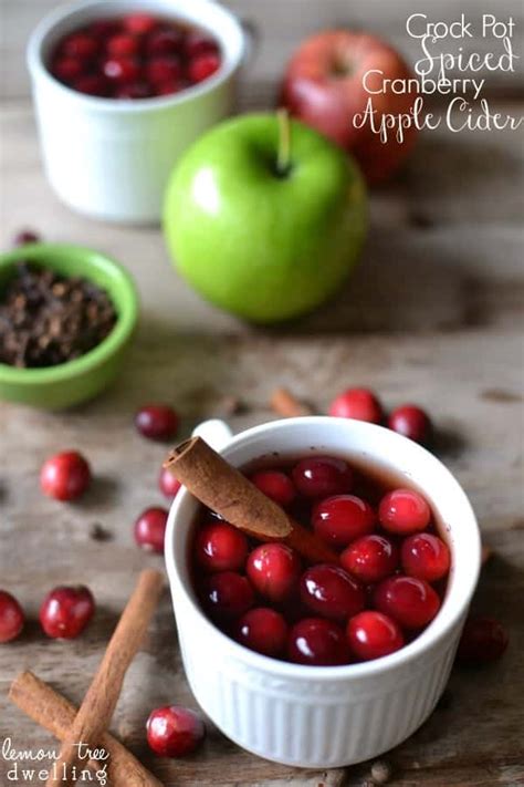 slow-cooker-recipe-cranberry-apple-cider-the-36th image