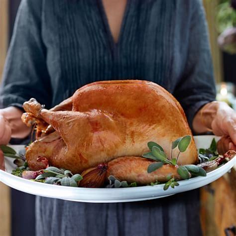 turkey-with-white-wine-gravy-williams-sonoma image