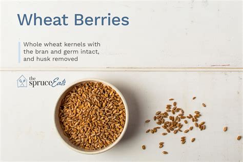 what-are-wheat-berries-the-spruce-eats image