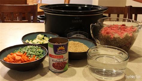 5-homemade-crockpot-dog-food-recipes-top-dog-tips image