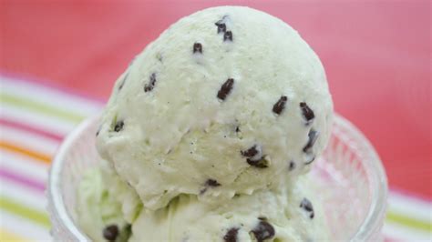 homemade-mint-chocolate-chip-ice-cream-no-ice image