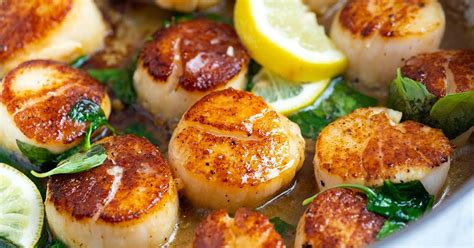 10-best-sea-scallop-entree-recipes-yummly image