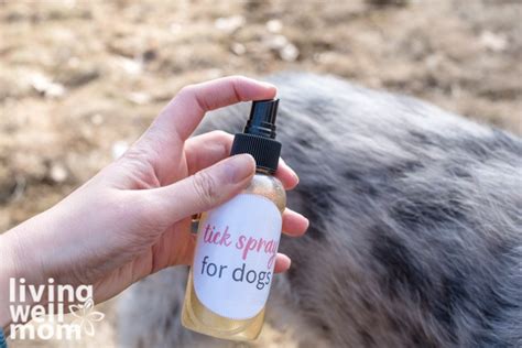 simple-all-natural-tick-repellent-for-dogs-with-video image