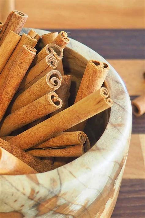 the-best-ways-to-use-cinnamon-in-your-cooking-foodal image
