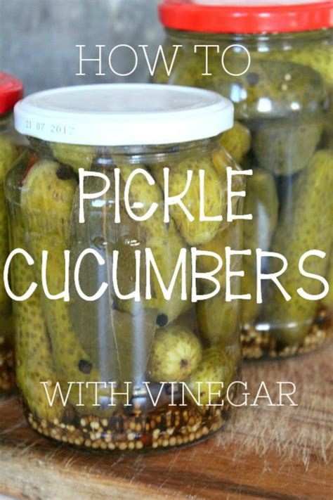 how-to-pickle-cucumbers-in-vinegar-easy-peasy image