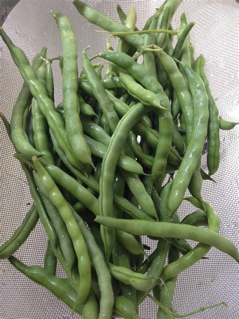 greek-string-beans-fasolakia-california-greek-girl image