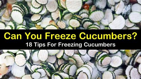 yes-you-can-freeze-cucumbers-18-tips-for-freezing image