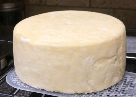 how-to-make-monterey-jack-cheese-rebooted-mom image