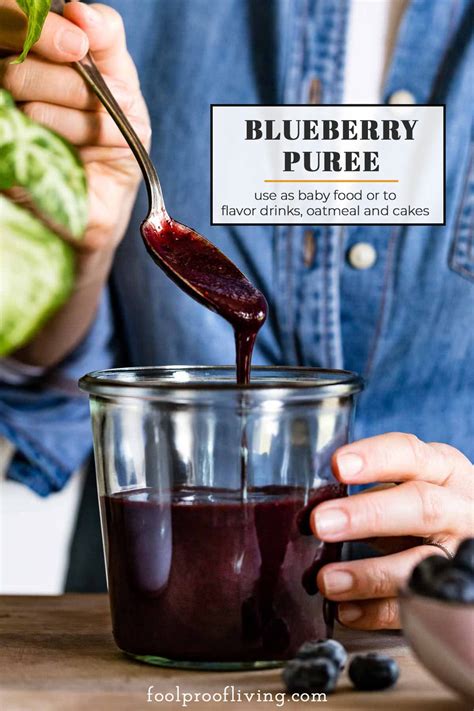 blueberry-puree-recipe-no-sugar-added image