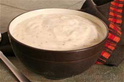 creamy-coleslaw-dressing-recipe-recipetipscom image