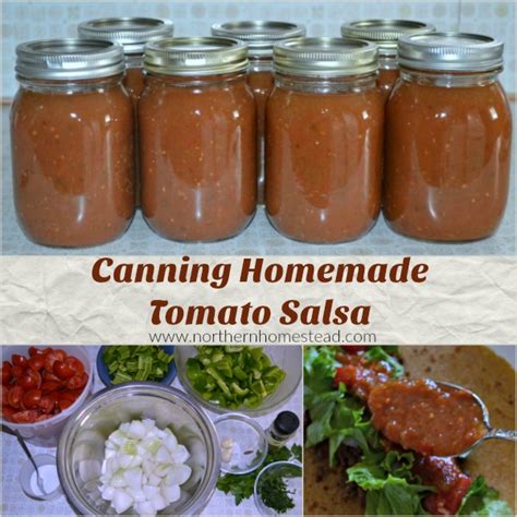 canning-homemade-tomato-salsa-northern-homestead image