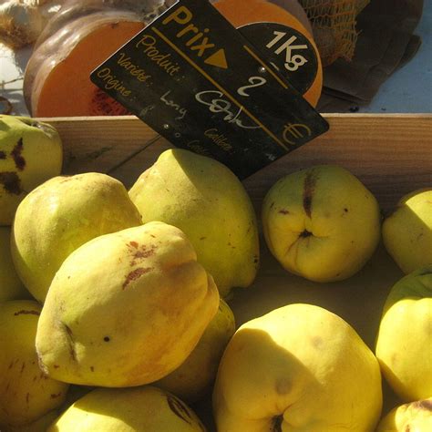 fall-tart-quince-almond-tarte-tatin-perfectly-provence image