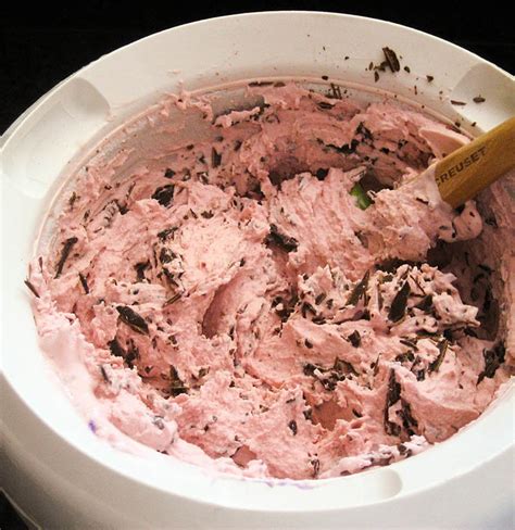 cherry-ice-cream-with-chocolate-chips-jill-silverman image