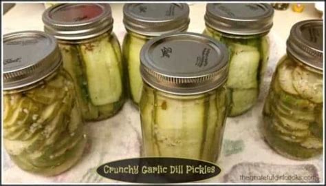 garlic-dill-pickles-old-fashioned-the-grateful-girl-cooks image