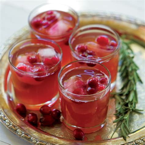 cranberry-apple-punch-farm-flavor image