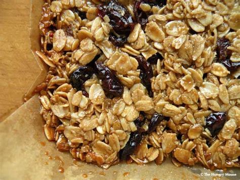 homemade-cranberry-oatmeal-granola-bars-the image