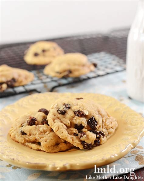 oatmeal-raisin-cookies-for-two-4-soft-chewy-oatmeal image