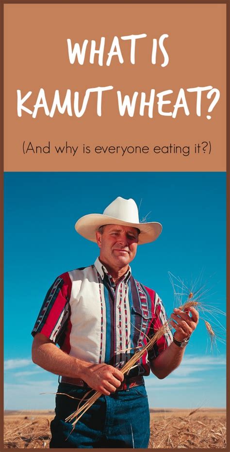 what-is-kamut-wheat-and-why-is-everyone-eating-it image
