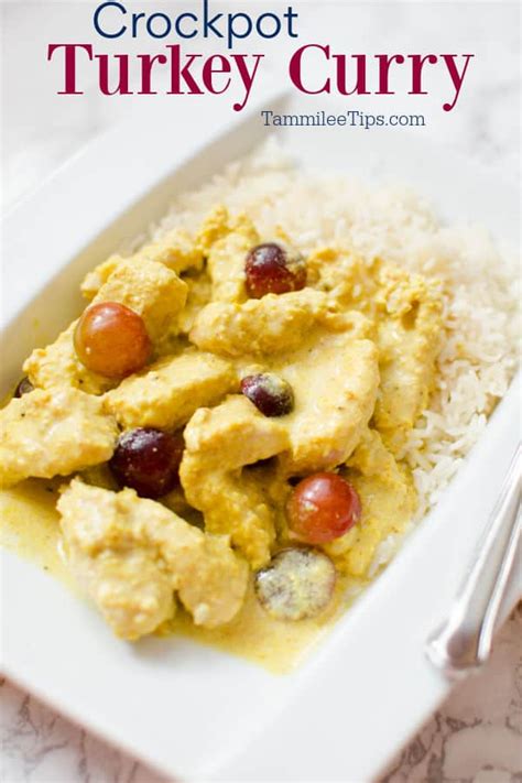 slow-cooker-crockpot-turkey-curry-recipe-tammilee-tips image