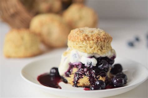 blueberry-shortcake-chef-heidi-fink image