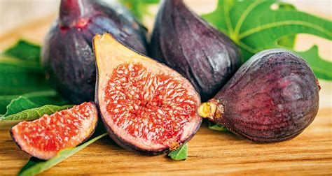 fabulous-figs-for-food-and-wildlife-small-farms image