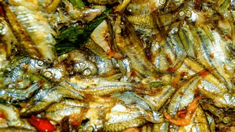 a-portuguese-favorite-sardinha-de-escabeche image