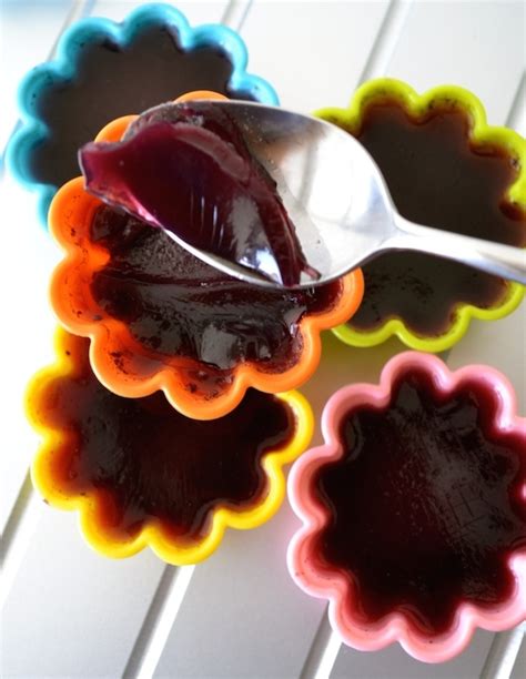 easy-homemade-nourishing-blueberry-gelatin image