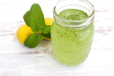 lemon-mint-spritzer-the-fit-foodie image
