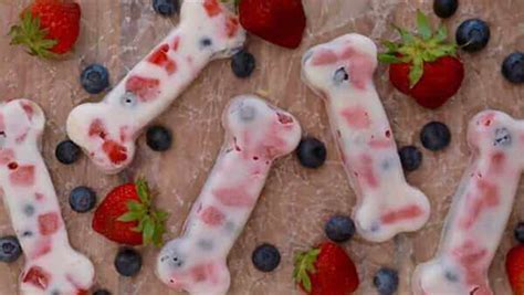 7-easy-homemade-blueberry-dog-treats-recipes-for-your-pup-to image