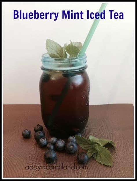 blueberry-mint-iced-tea-a-day-in-candiland image