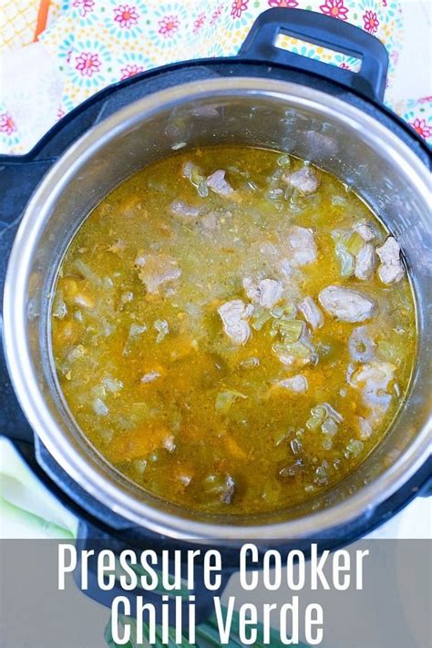 instant-pot-pressure-cooker-chili-verde-the-typical image