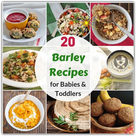 20-barley-recipes-for-babies-and-toddlers-my-little-moppet image