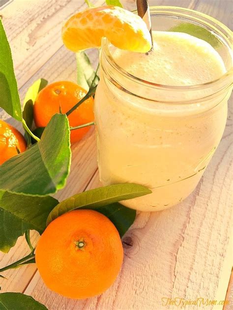 mandarin-orange-smoothie-recipe-the-typical-mom image