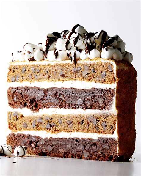 scrumptious-smores-layer-cake-recipe-bite-me-more image