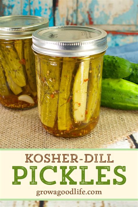 kosher-style-dill-pickles-canning-recipe-grow-a-good-life image