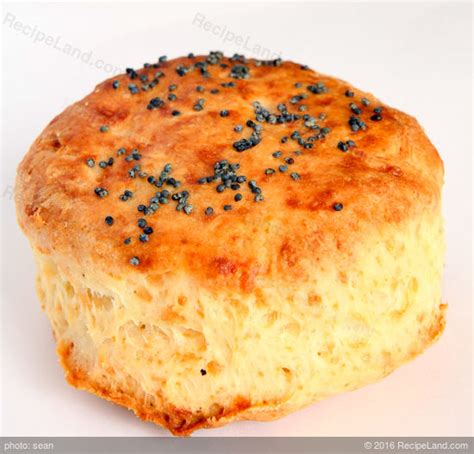 quick-cheese-biscuits-recipe-recipeland image