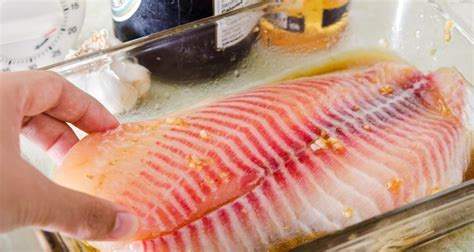 the-best-ways-to-marinade-tilapia-our-everyday-life image