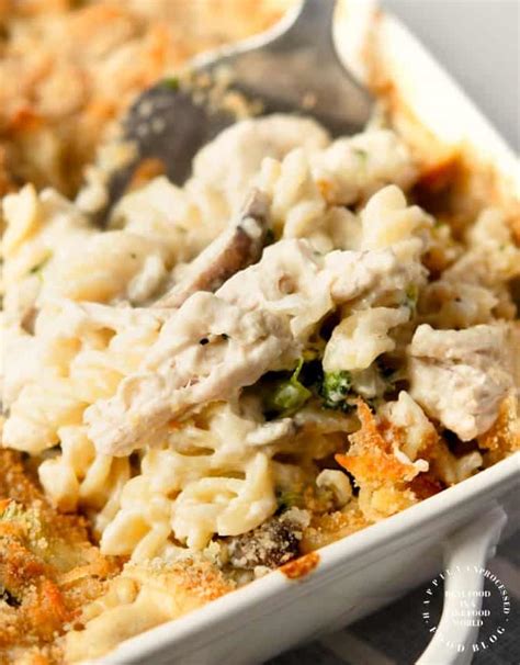 turkey-tetrazzini-with-egg-noodles-broccoli image