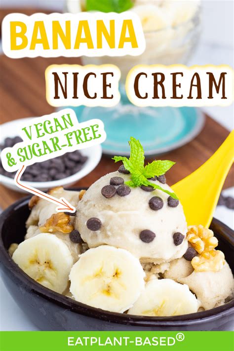 3-ingredient-vanilla-nice-cream-eatplant-based image