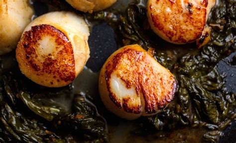 scallops-with-sorrel-butter-pursuit image