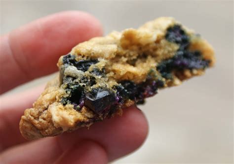 chewy-blueberry-oatmeal-cookies-dinner-with-julie image
