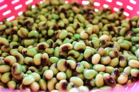 how-to-cook-and-season-southern-purple-hull-peas image