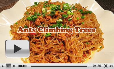 recipe-of-how-to-cook-ants-climbing-trees-china image