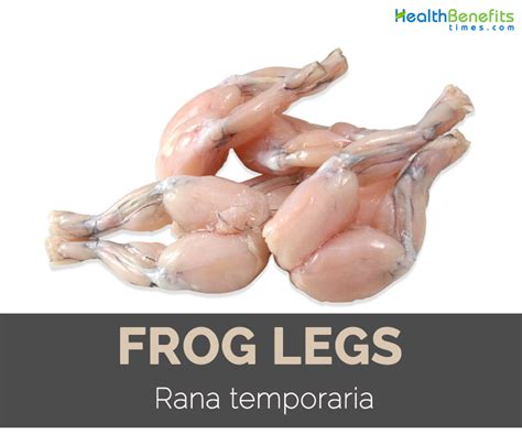 frog-legs-facts-health-benefits-and-nutritional-value image