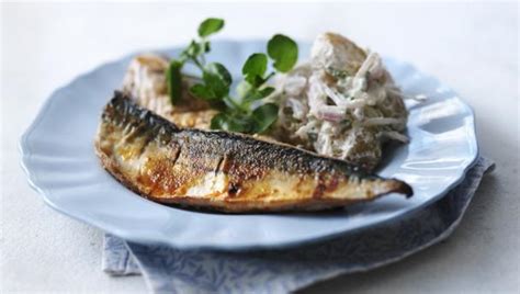 mackerel-recipes-bbc-food image