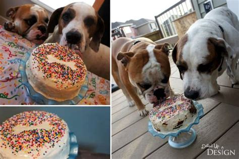 15-dog-birthday-cake-cupcake-homemade image