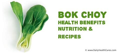 bok-choy-benefits-7-surprising-ways-bok-choy image