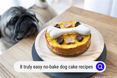 8-truly-easy-no-bake-dog-cake-recipes-oodle-life image