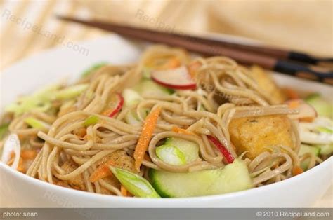 cold-soba-noodle-salad-recipe-recipelandcom image